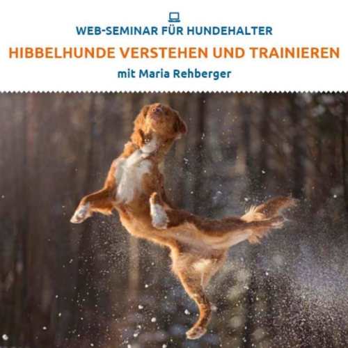 web seminar hibbelhunde