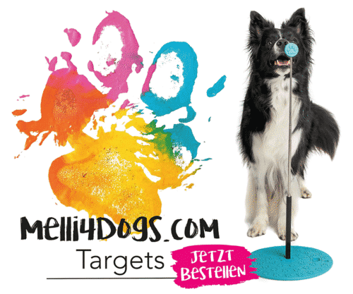 Banner Melli4Dogs 800x667