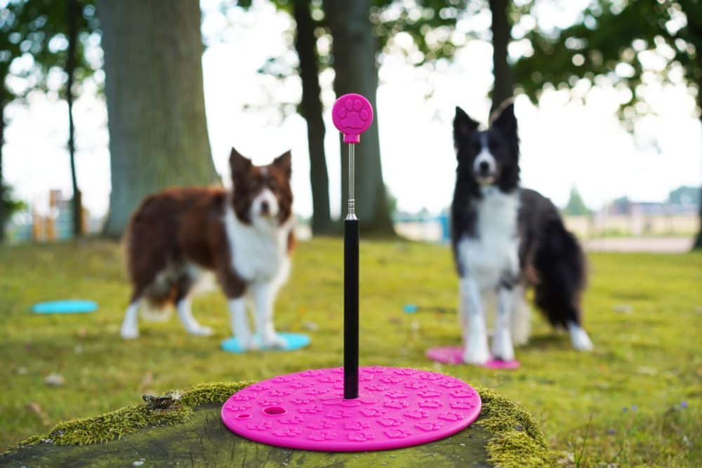 Targets Melli4Dogs Pink Hunde scaled