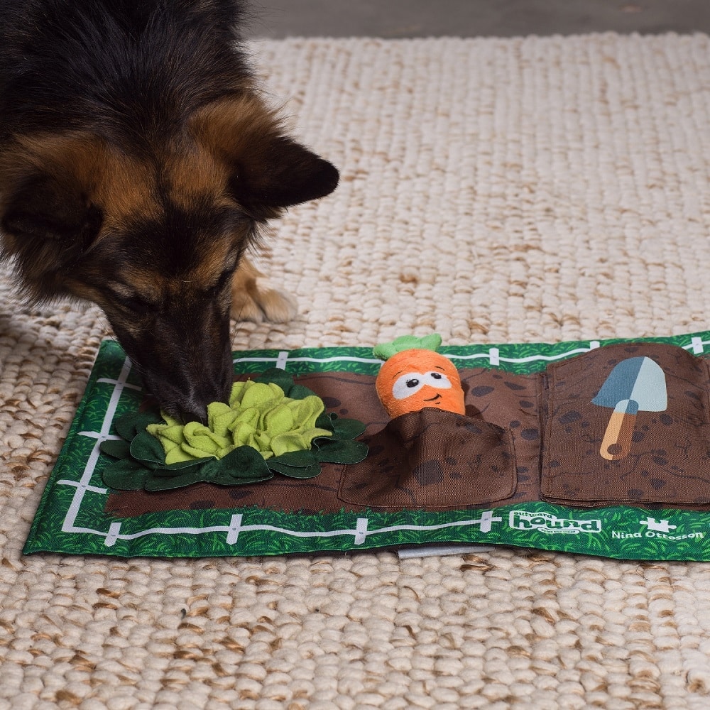 Activity Matz Garden Game Hund