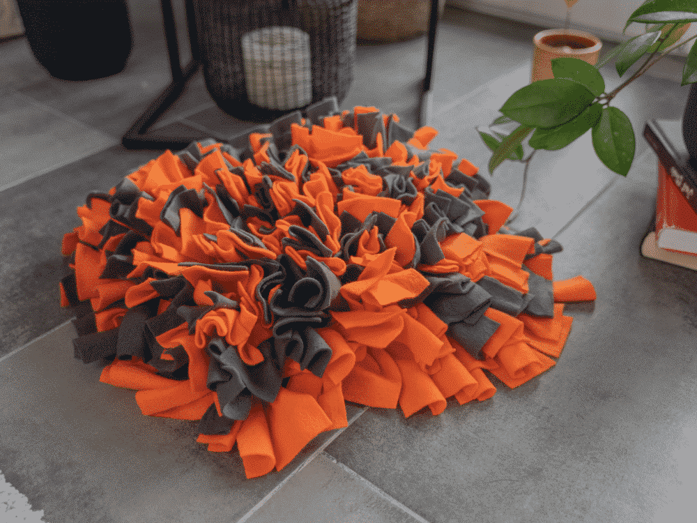 schnueffelteppich orange boden